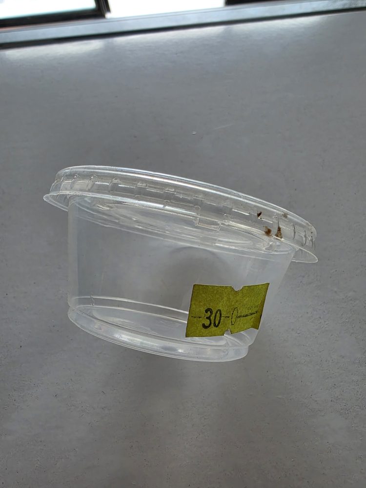 Vaso plástico transparente 3 oz con tapa