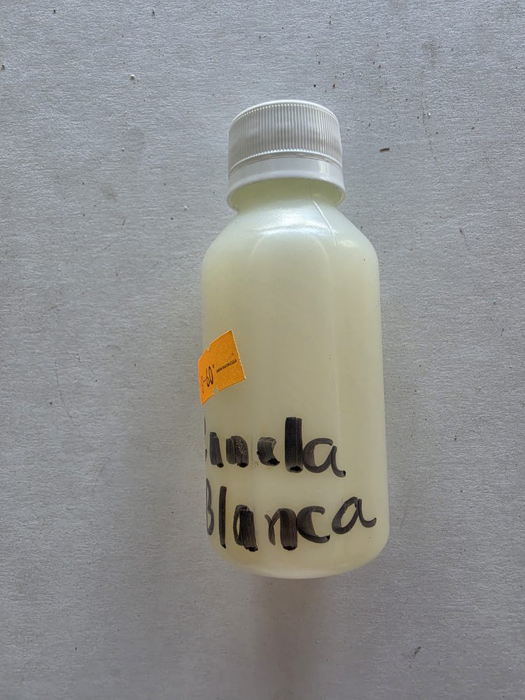 Botella plastica pequeña con esencia liquida color blanco